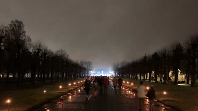 Lāčplēšdiena Rīgas Brāļu kapos. Foto J. Dambis