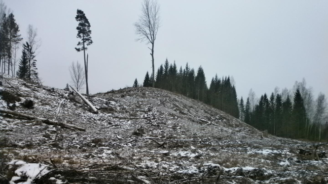 Avotiņu pilskalns