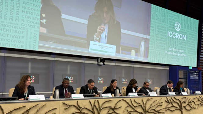 Modernas, plašas konferenču zāles priekšpuse, kurā redzami konferences runātāji. Priekšplānā, attēla apakšpusē no kreisās līdz labajai malai stiepjas tribīne, kas ir gaiši brūnā krāsā un pretim katrām divām runātāju sēdvietām ir dekoratīvs koka tēls. Tribīnē redzami 8 runātāji, visi tērpušies tumšos, oficiālos apģērbos, žaketēs. 4 vīrieši un 4 sievietes. Visiem priekšā ir mikrofoni un plāksnītes ar vārdu un pārstāvēto valsti. Virs sēdētājiem ir ekrāns kurā redzams runātājs.