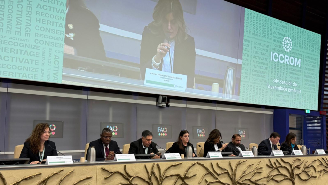 Modernas, plašas konferenču zāles priekšpuse, kurā redzami konferences runātāji. Priekšplānā, attēla apakšpusē no kreisās līdz labajai malai stiepjas tribīne, kas ir gaiši brūnā krāsā un pretim katrām divām runātāju sēdvietām ir dekoratīvs koka tēls. Tribīnē redzami 8 runātāji, visi tērpušies tumšos, oficiālos apģērbos, žaketēs. 4 vīrieši un 4 sievietes. Visiem priekšā ir mikrofoni un plāksnītes ar vārdu un pārstāvēto valsti. Virs sēdētājiem ir ekrāns kurā redzams runātājs.