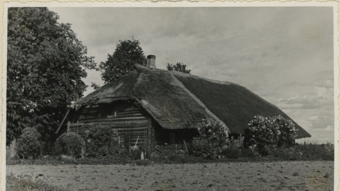 Gaidu saiešanas nams