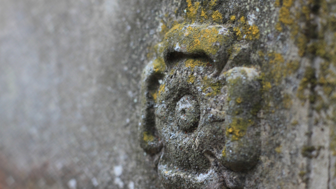 Apsūnojusi betona puķe