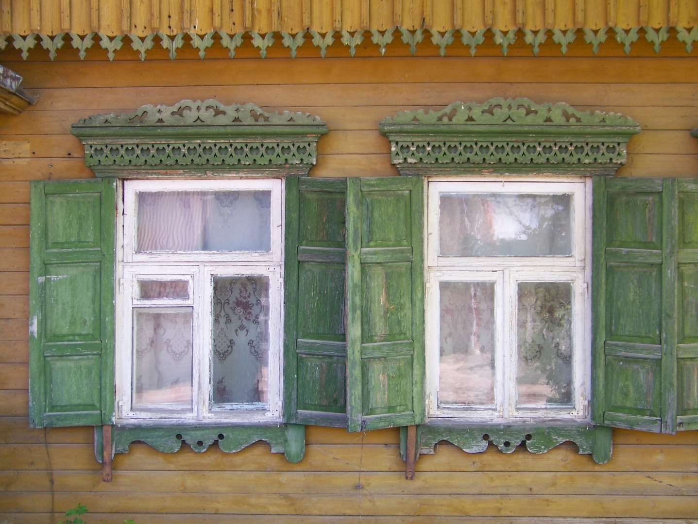 Divi logi koka mājā