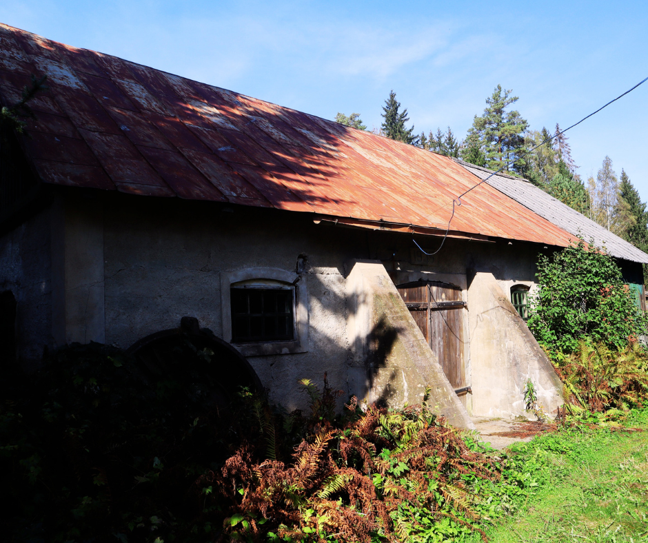 Vecas ūdensdzirnavu ēkas sānu skats ar rūsganu, korozijas skartu skārda jumtu un pelēka apmetuma sienām. Ēkas fasādē redzamas masīvas, slīpas atbalsta sienas vai kontrforsi, kas ieskauj vecās koka durvis, iespējams, iebrauktuvi. Pa kreisi no durvīm atrodas viens mazs logs ar tumšiem rāmjiem. Ēkas priekšā aug lieli paparžu un citu augu puduri, kas liecina par tās pamestību. Dziļumā redzams mežs un zilas debesis.