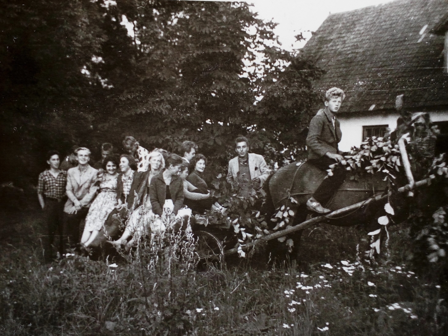 Jāņu svinētāji zirga ratos (melnbalts foto)