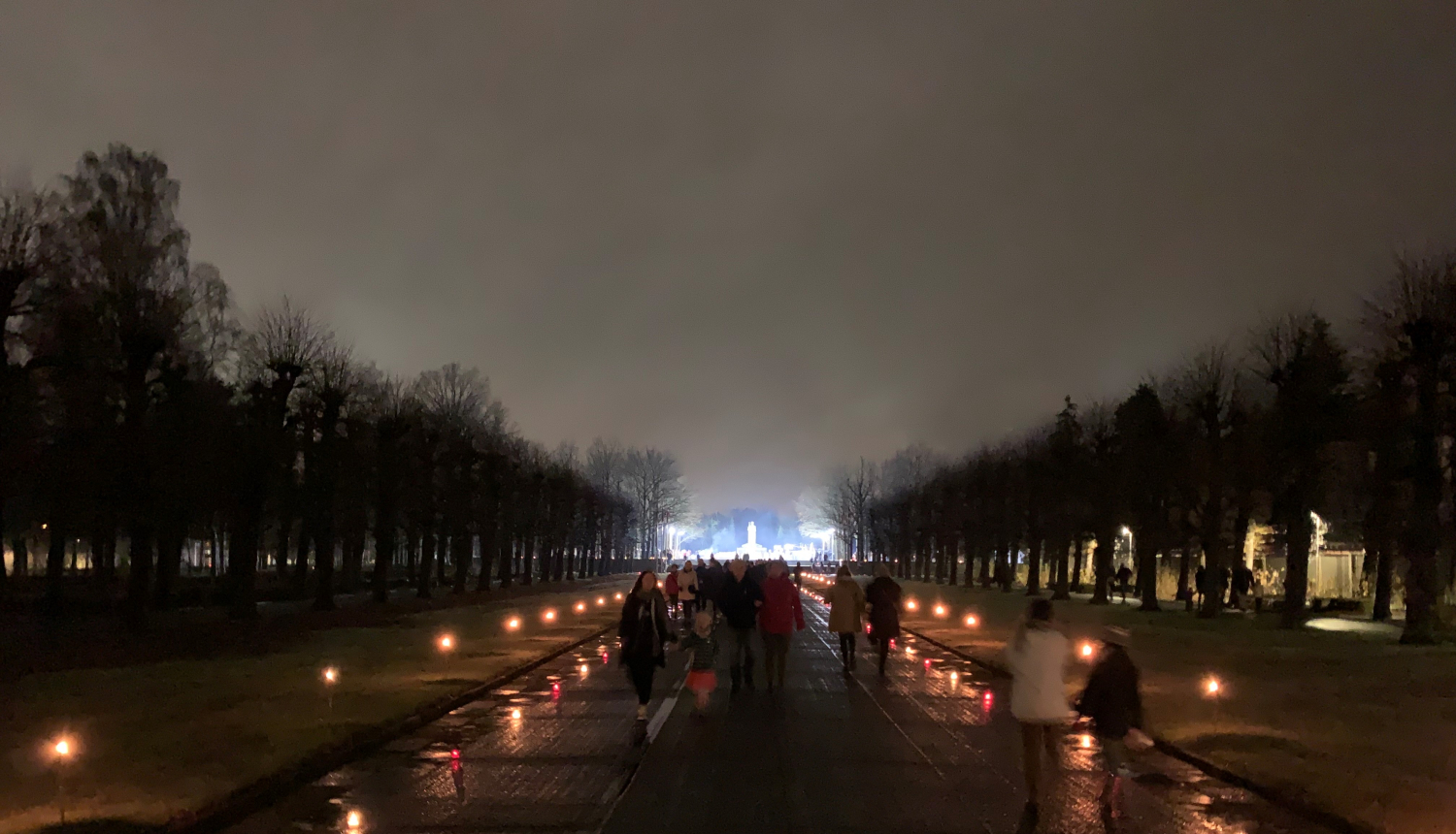 Lāčplēšdiena Rīgas Brāļu kapos. Foto J. Dambis