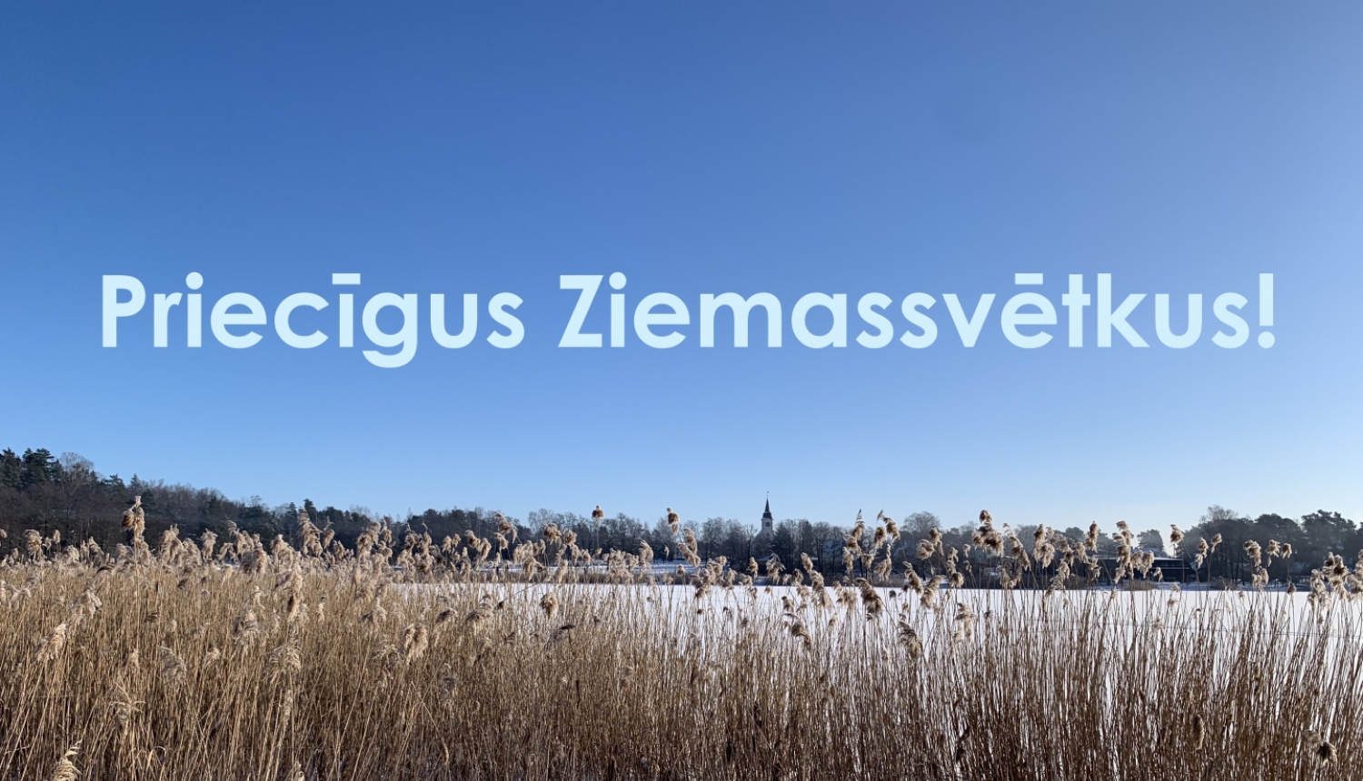 Ziemassvētki_ J. Dambis