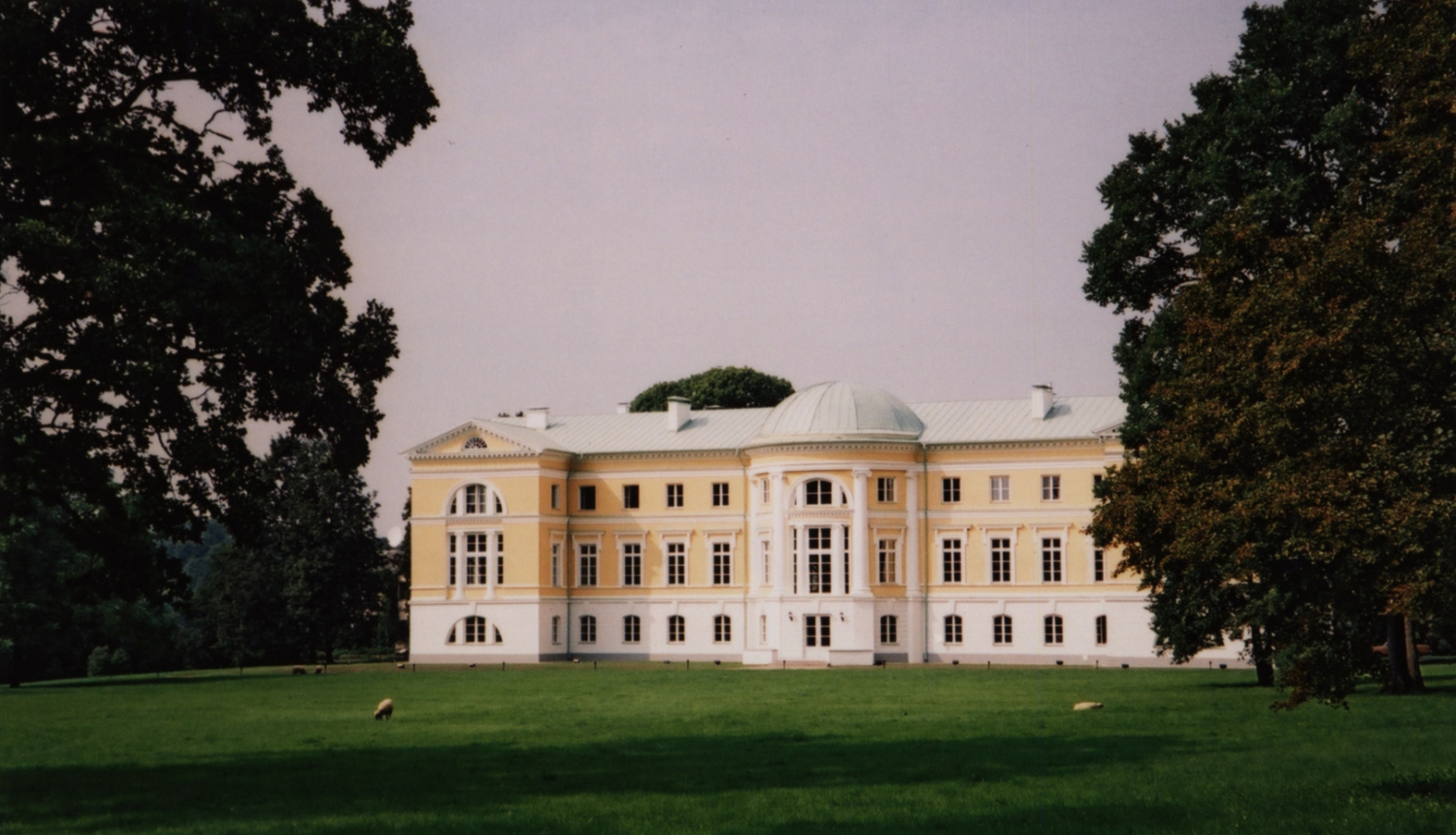 Mežotnes pils Zilgalvis