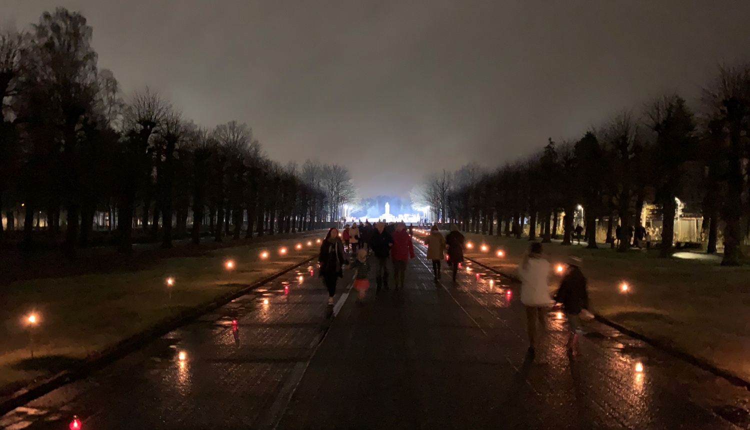 Lāčplēšdiena Rīgas Brāļu kapos. Foto J. Dambis