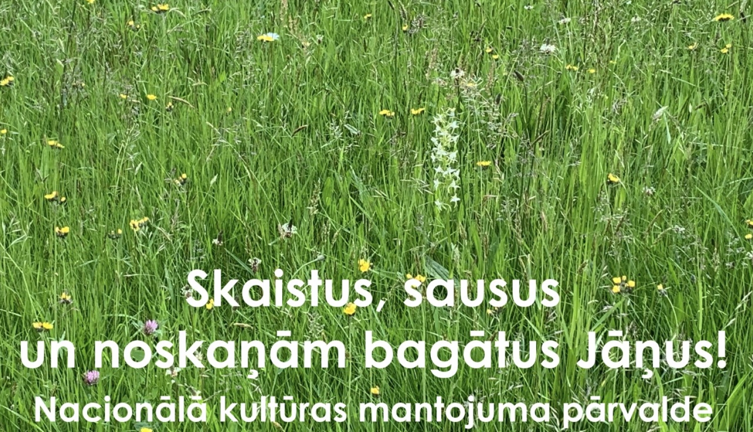 Skaistus Jāņus